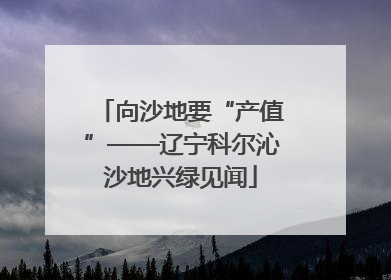 向沙地要“产值”——辽宁科尔沁沙地兴绿见闻